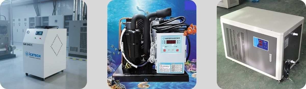 Máy làm lạnh nước bể cá là gì